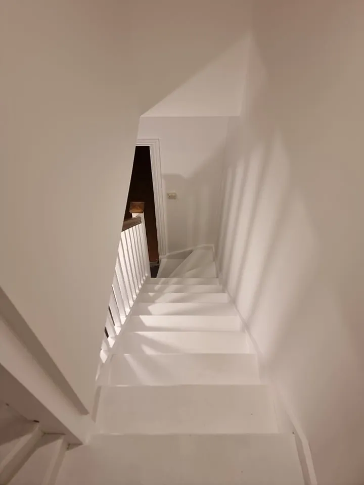 Freshly painted staircase in a London property by Ferizi